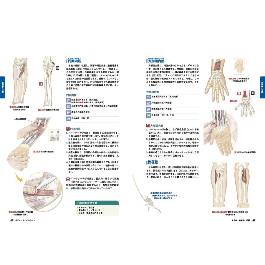 [改訂第6版]ボディ・ナビゲーション｜idononihon-store｜03