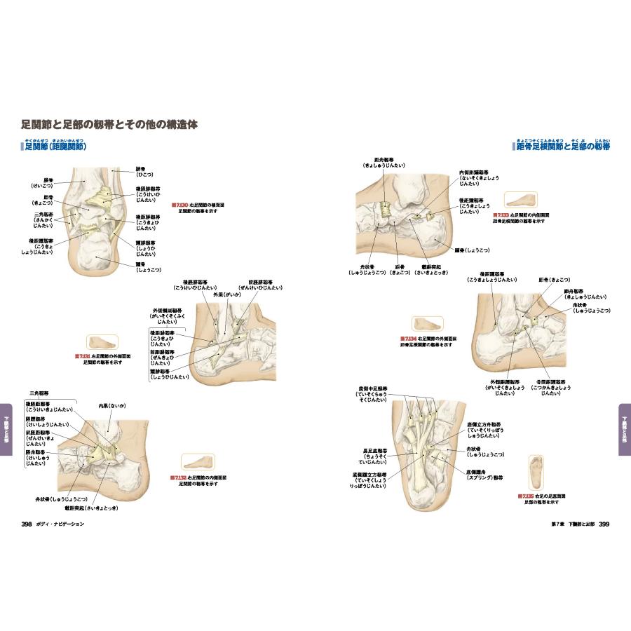 改訂版 ボディ・ナビゲーション Amazon.co.jp: [改訂第6版]ボディ・ナビゲーション : Andrew