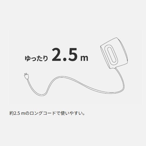 Panasonic（パナソニック） 【在庫あり】NI-FS70C-K Panasonic 衣類