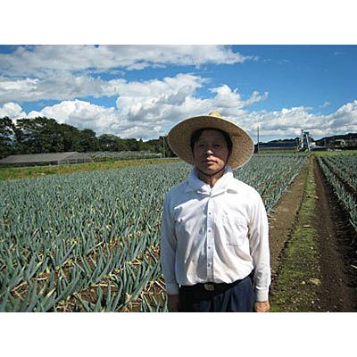 12/1出荷開始】堀口さんの下仁田ネギ Lサイズ30本 本場の群馬県下仁田