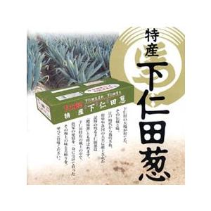 12/1出荷開始】堀口さんの下仁田ネギ Lサイズ15本 本場の群馬県下仁田
