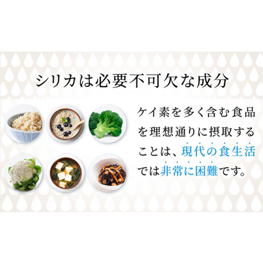 シリカ濃縮液 100mlx2本 シリカ ケイ素 500ｍLのシリカ水40本分 ケイ素水 原液 ミネラル サプリ 健康飲料 シリカウォーター 高濃度 原液 母の日 |  | 02