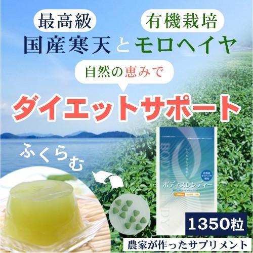 寒天 ダイエット サポート サプリ ボディスレンディー 徳用サイズ 約