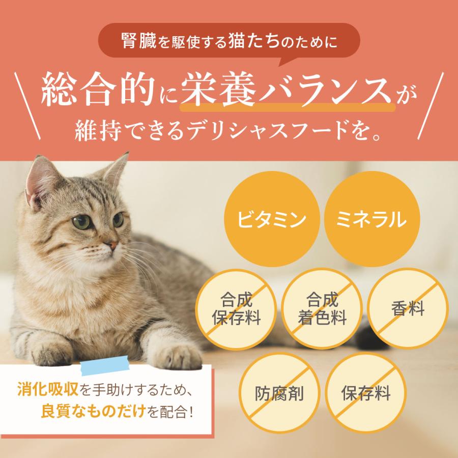 キャットフード お試し2種セット 各50g ドライタイプ オールステージ 国産 VISIONSオリジナル 送料無料 cat visions | VISIONS（ペット） | 02
