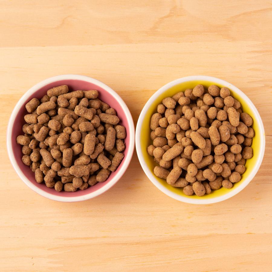 キャットフード お試し2種セット 各50g ドライタイプ オールステージ 国産 VISIONSオリジナル 送料無料 cat visions | VISIONS（ペット） | 05