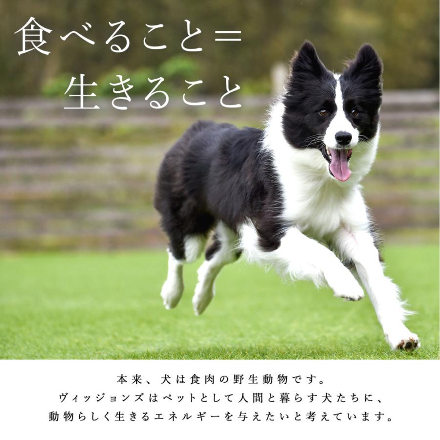ドッグフード 無添加 国産 お試し 4種類セット 送料無料