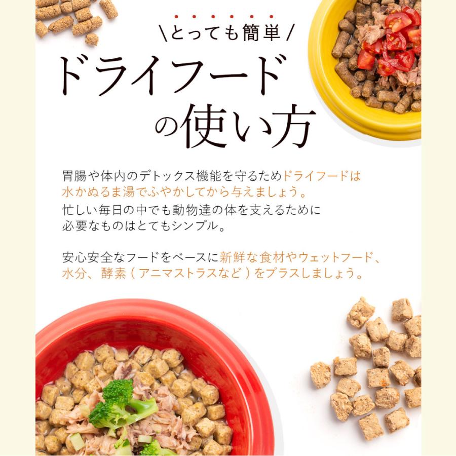 ドッグフード 無添加 国産 お試し 4種類セット  送料無料 【代引き不可・ポスト便配送】 | dog visions｜ie-visions｜12