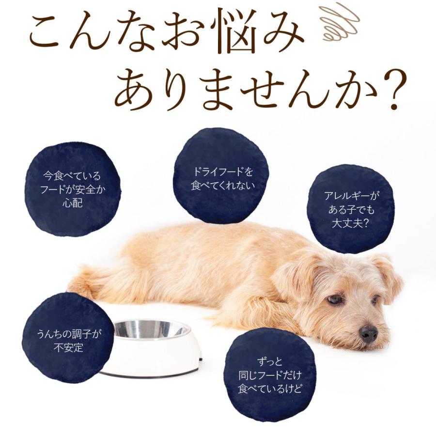 ドッグフード 無添加 国産 お試し 4種類セット 送料無料 代引き不可・ポスト便配送 | dog visions |  | 02