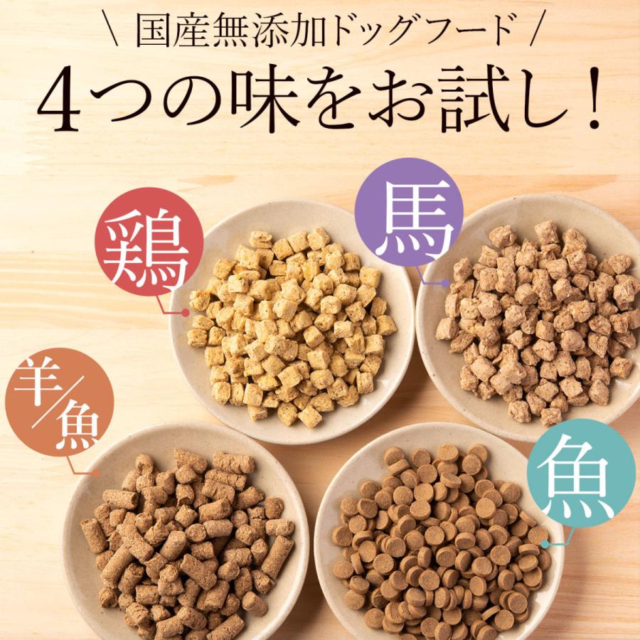 ドッグフード 無添加 国産 お試し 4種類セット 送料無料 【代引き不可