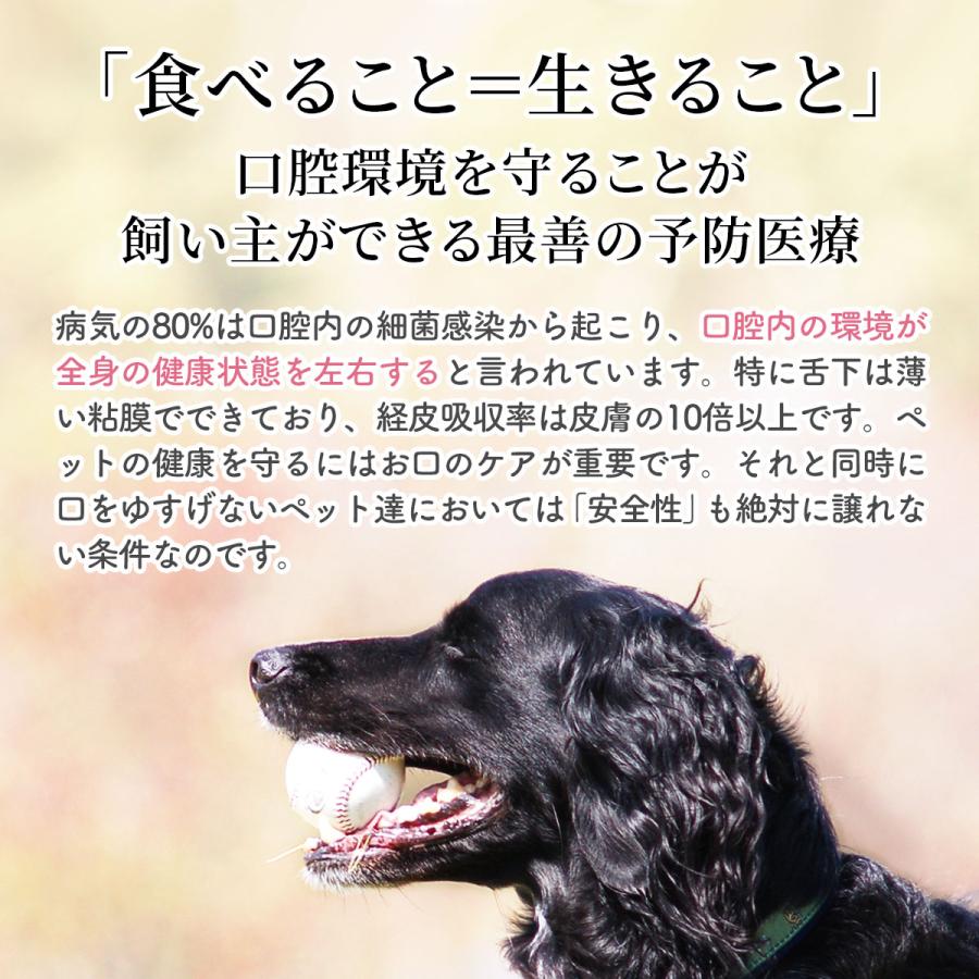 VISIONS オリジナル 犬用 マウスケア 歯磨き粉 バイオペースト ルース [60g] 天然成分100% 無添加国産  dog visions｜ie-visions｜03