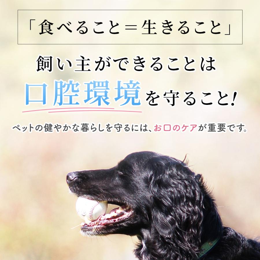 犬用 マウスケア 歯磨き粉 バイオペーストルース （お試し用