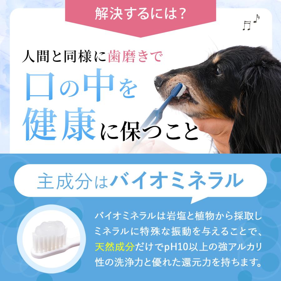 GR 犬　歯磨き粉 犬 歯磨き粉 歯石 歯垢 口臭 予防 マジックゼオ プロ デイリー