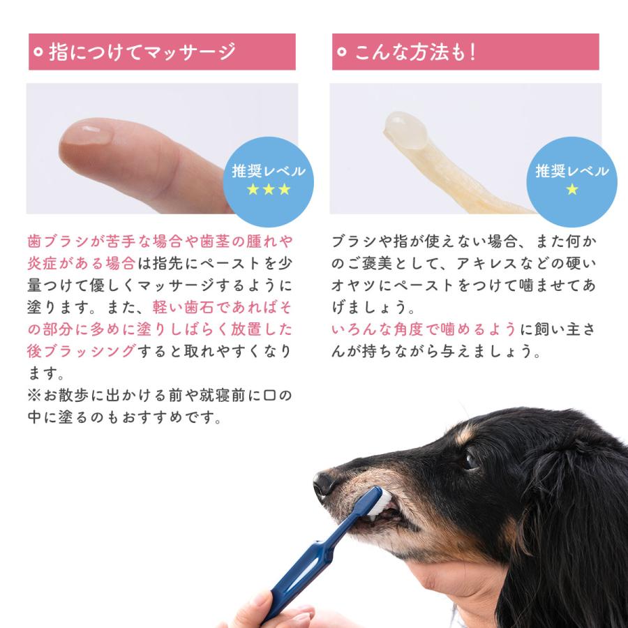 VETS One 犬猫用歯磨きペースト 45g × 45 ベッツワン 国産 犬猫用歯磨きペーストプラス ミルクフレーバー