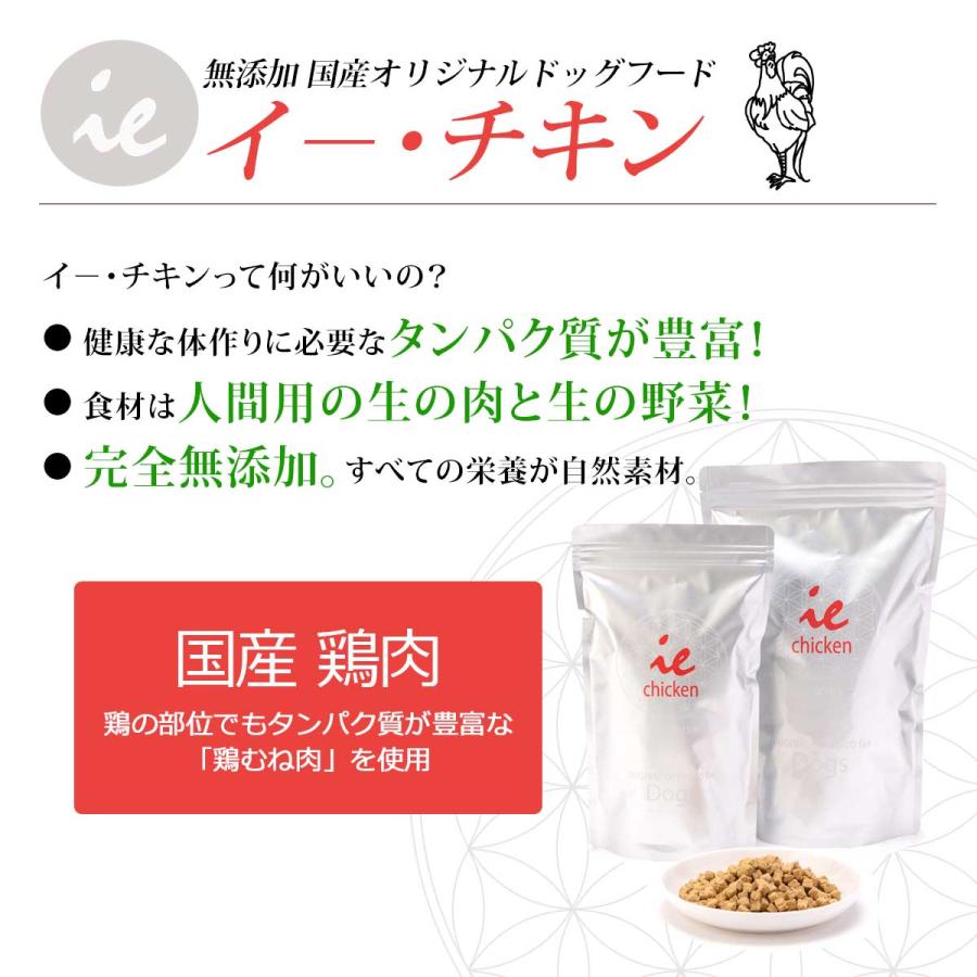 ドッグフード guigui ジーランディア ドッグ ビーフ 170g 犬用ウェットフード 缶詰