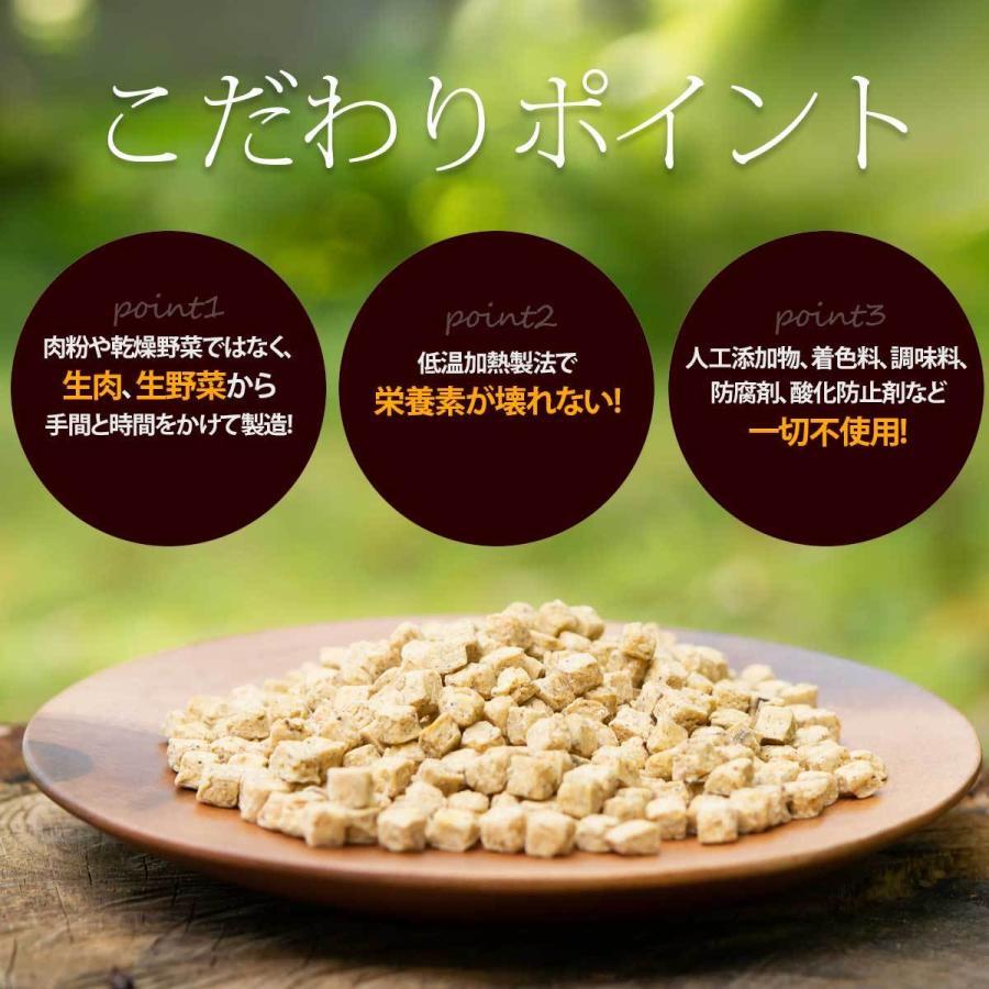 3%お得 ドッグフード イー・チキン 鶏肉 1kg×3袋 ドライタイプ オールステージ 無添加 国産 VISIONS オリジナル 送料無料 dog visionsの画像
