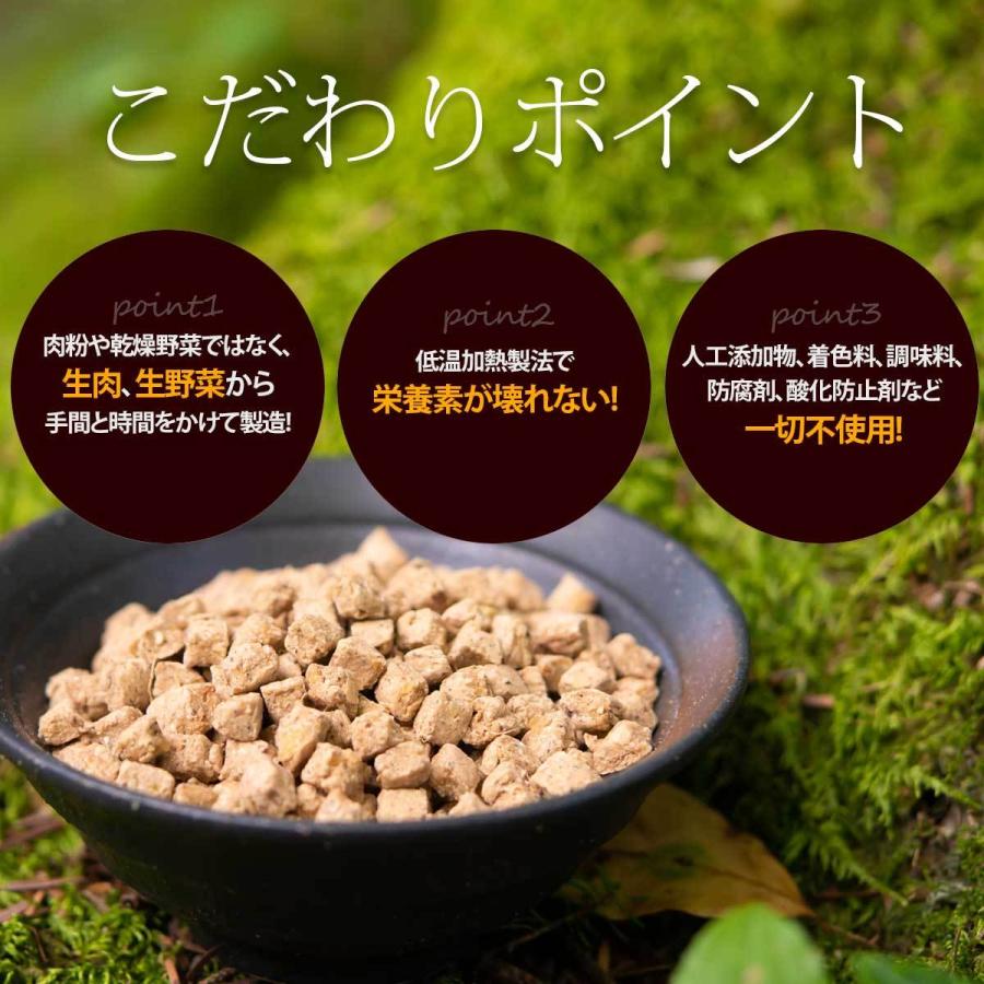 3%お得 ドッグフード イー・ホース 馬肉 1kg×3袋 ドライタイプ オールステージ 無添加 国産 VISIONS オリジナル 送料無料 dog visionsの画像