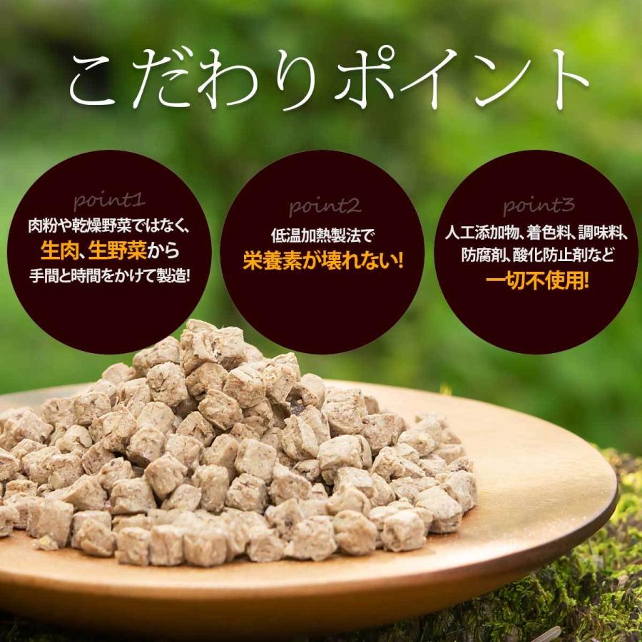 3%お得 ドッグフード イー・ディア 鹿肉 1kg×3袋 ドライタイプ オールステージ 無添加 国産 VISIONS オリジナル 送料無料 dog visionsの画像
