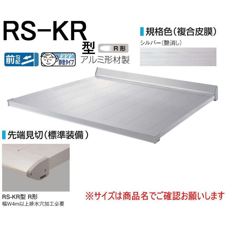 DAIKEN ダイケン 庇 RSバイザー RS-KR型 D700×W1000 シルバー (ステー無)