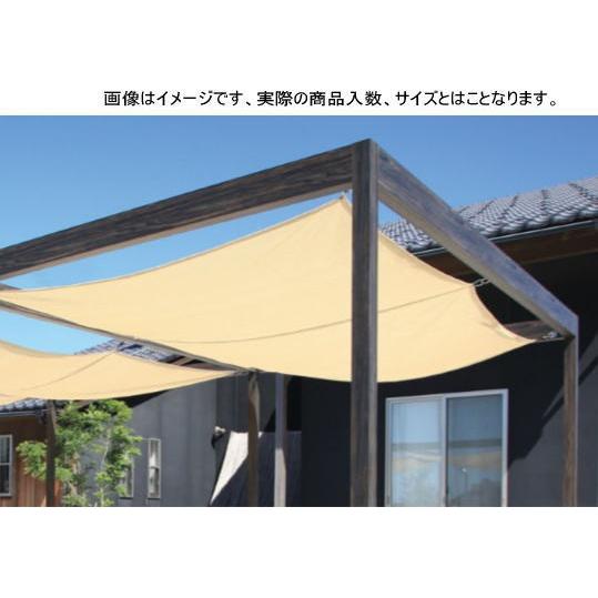 タカショー サンドストーン (79775200) ポーチ用シェード 固定タイプ 1.5間9尺 ※直送／個人宅不可