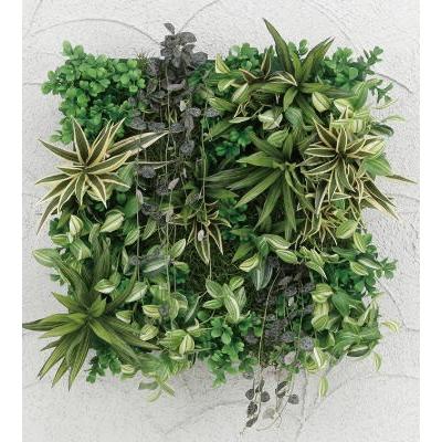 タカショー GD-203A (33167300) 壁面アレンジA ドラセナ 30×30cm