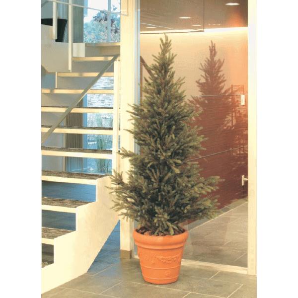 タカショー コニファー モミツリー 1 8ｍ 鉢付 クリスマスツリー用に 人工植物 Gd 153s 観葉植物 Www Impactpub Com Au