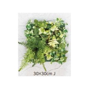 タカショー GD-203J 33269400 壁面アレンジJ ファーン 30×30cm