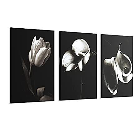 並行輸入品 3パネル 花 ウォールアート 白 花 絵画 写真 白黒 抽象 植物 写真 現代的 ウォールアート プリント リビングルーム キッチン オフィス すぐに アートレプリカ Myleet Com