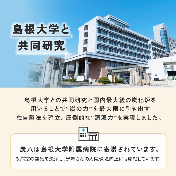 炭八 福袋 15点セット 除湿剤 乾燥剤 湿気取り 除湿 炭八 12L 除湿剤 大容量 除湿 炭 消臭 除湿剤 クローゼット 炭八 クローゼット 炭八 小袋 炭八 大袋 爆買 | 出雲屋炭八 | 12