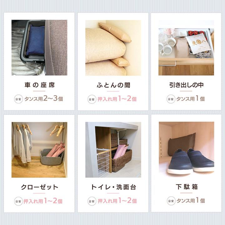 出雲屋炭八 炭八 1L 10袋セット タンス用 正規認定販売代理店 梅雨対策