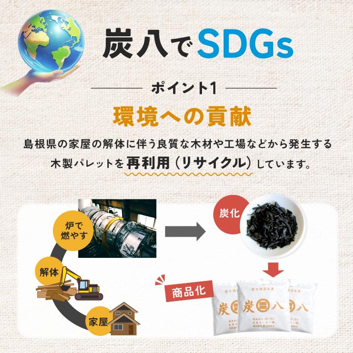 炭八　室内よろしく12ℓ×4袋 出雲屋炭八 炭八 大袋 4袋セット 12l 室内用 除湿剤 結露防止