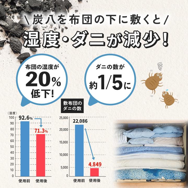 出雲屋炭八 炭八 除湿剤 押入用 1袋 乾燥剤 湿気取り 除湿 炭八 3l