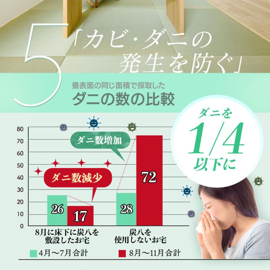 出雲屋炭八 炭八 床下用 12l 1袋 床下乾燥剤 床下調湿剤 床下調湿材 炭