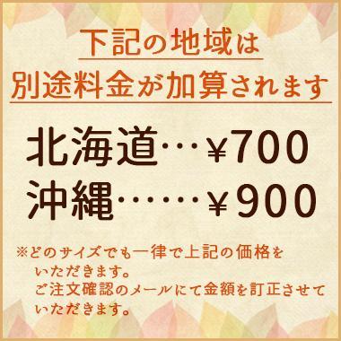 炭八 セット 小袋いろいろ詰合せ 13袋 炭はち 除湿剤 乾燥剤 湿気取り 湿気とり 除湿 炭 出雲屋炭八 出雲カーボン 半永久 繰り返し 調湿木炭 2重袋仕様｜iekarari｜17