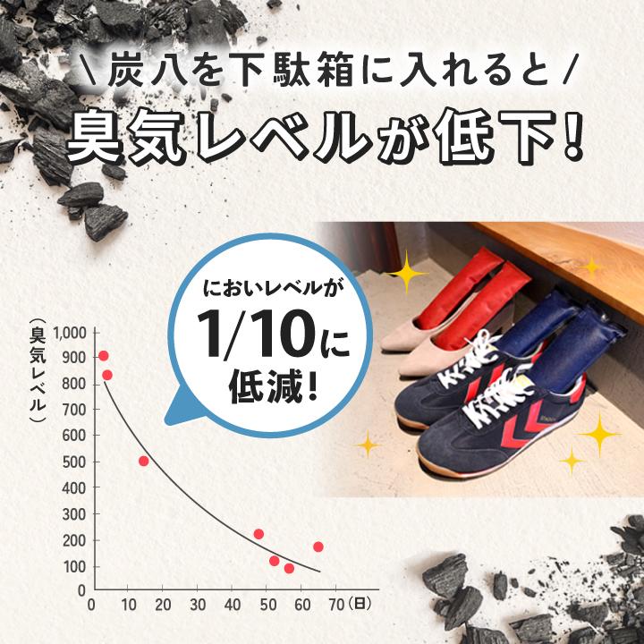 出雲屋炭八 特典付き 炭八 12L 8袋セット 室内用 クローゼット 正規