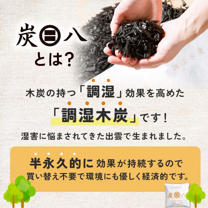 炭八 12L ×8個セット(まとめ売り)(個別売り対応可) 出雲屋炭八 特典付き 炭八 12L 8袋セット 室内用 クローゼット 正規
