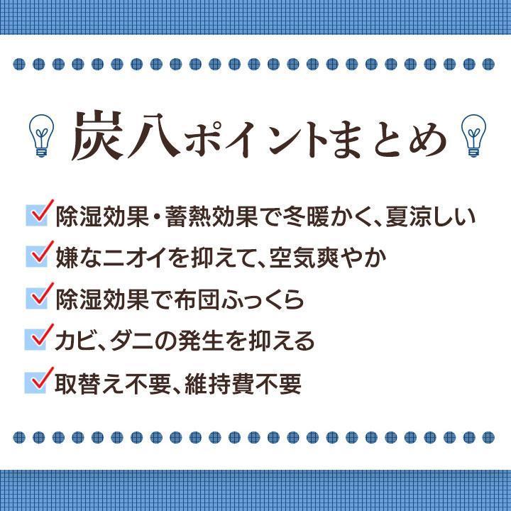 炭八ミニ 2本入 10セット 炭八 ミニ 繰り返し使える除湿剤 湿気取り 除湿 梅雨対策 梅雨グッズ 湿度 湿気 消臭 すみはち 出雲屋炭八 半永久 除湿剤 乾燥剤｜iekarari｜15