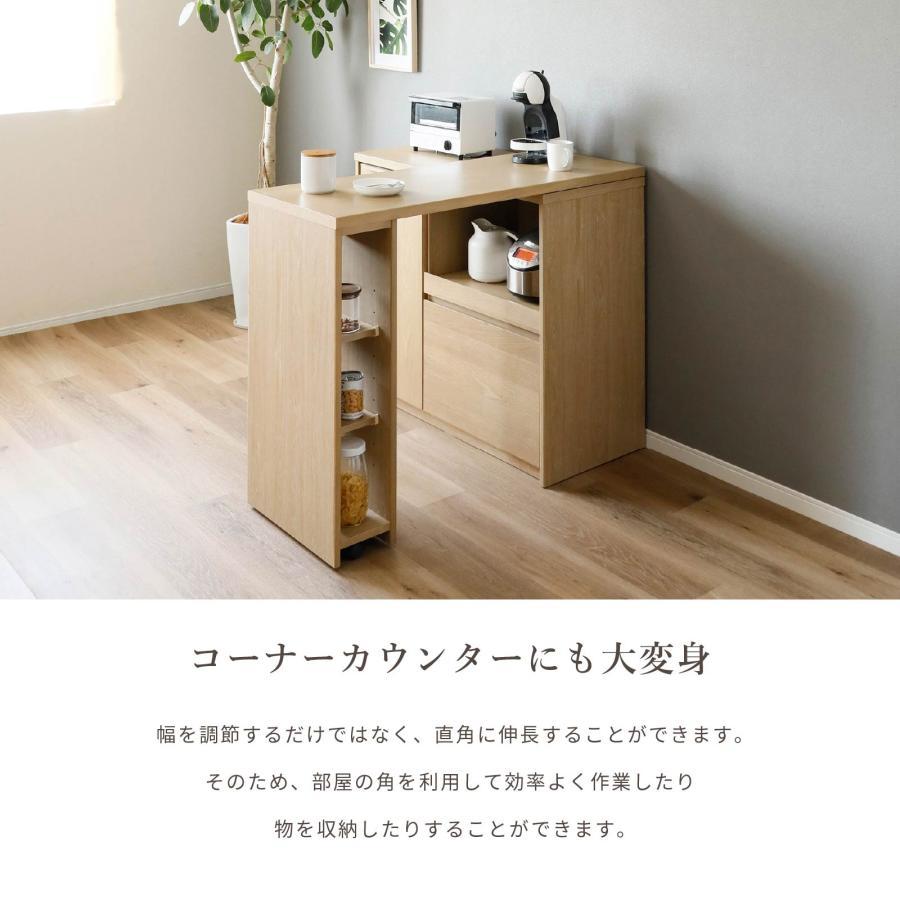 tac INTERIOR（タックインテリア） キッチンカウンター 収納
