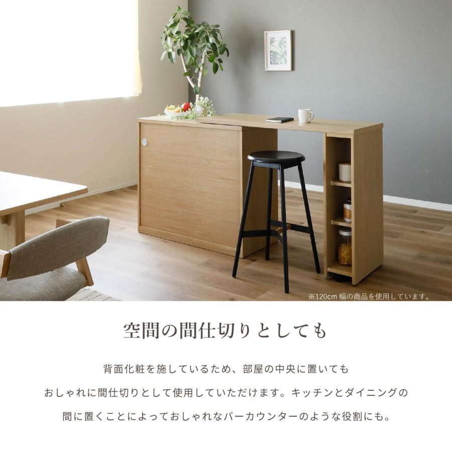 tac INTERIOR（タックインテリア） キッチンカウンター 収納