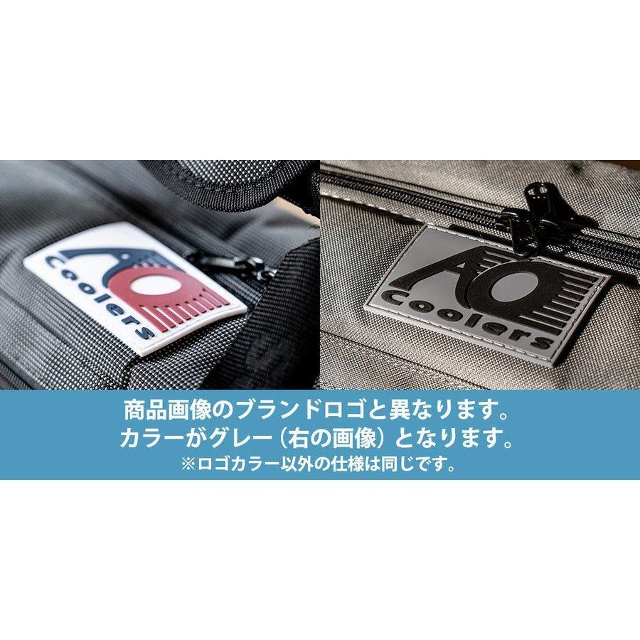 AO Coolers AOクーラーズ 18パック バックパック ソフトクーラー AO Coolers AOクーラーズ 18パック バックパック ソフトクーラー