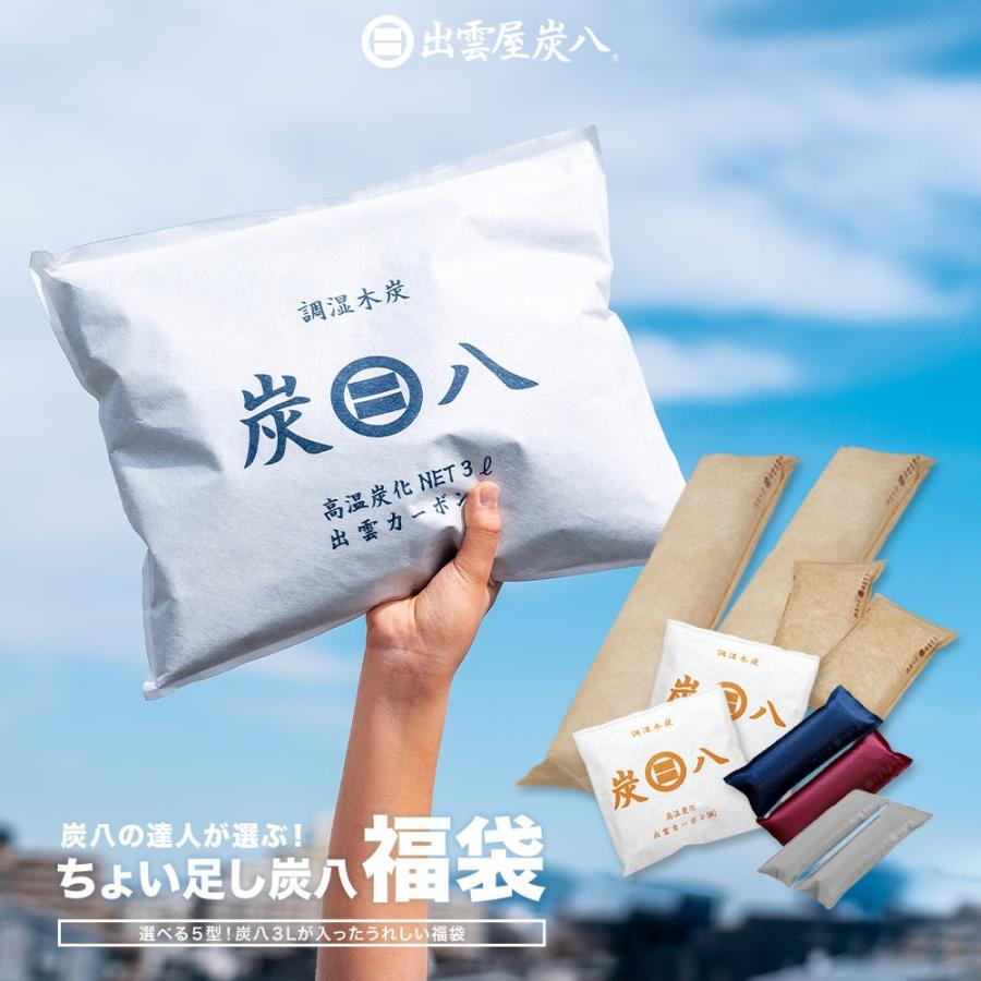 【レビューで国産竹炭GET！】福袋 2026年 炭八福袋 繰り返し 室内 3L 小袋 タンス 玄関 下駄箱  除湿対策 湿気対策 湿度  湿気取り 除湿 結露 結露防止 正規店