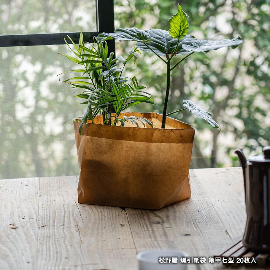 松野屋 蝋引紙袋 亀甲七型 7型 20枚入 : イエノLabo. - 通販 - Yahoo