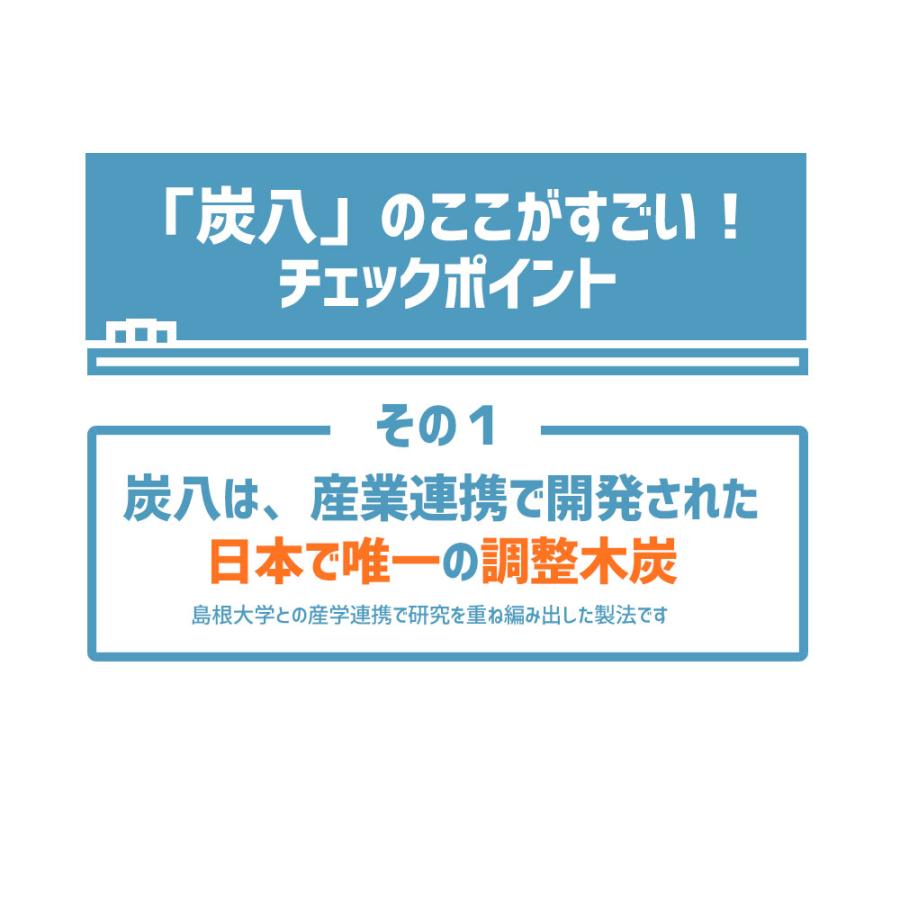 炭八 調湿実感 炭八トライアル8Lセット お試しセット 室内 8L 大袋  湿気取り 除湿 梅雨対策 梅雨グッズ 湿度 結露防止｜ienolabo｜15