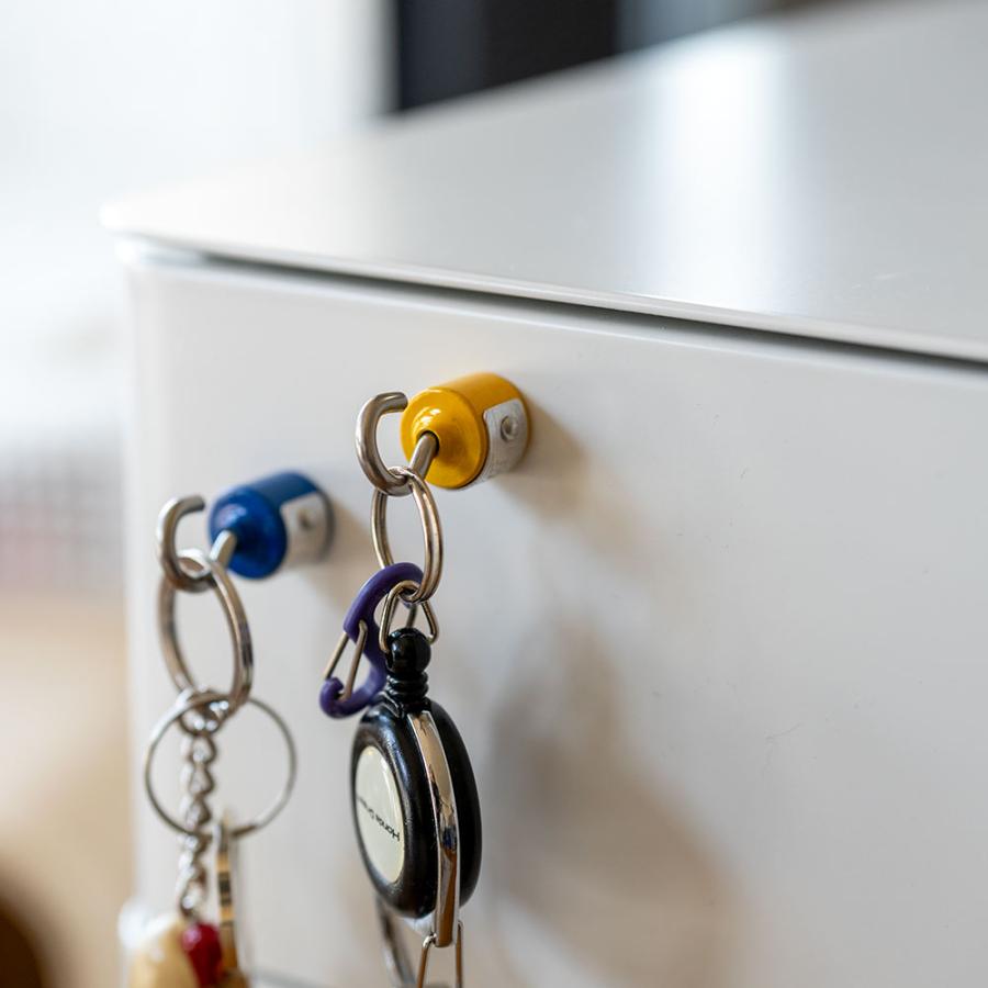 DULTON（ダルトン） MAGNETIC HOOK SET マグネット フック 磁石