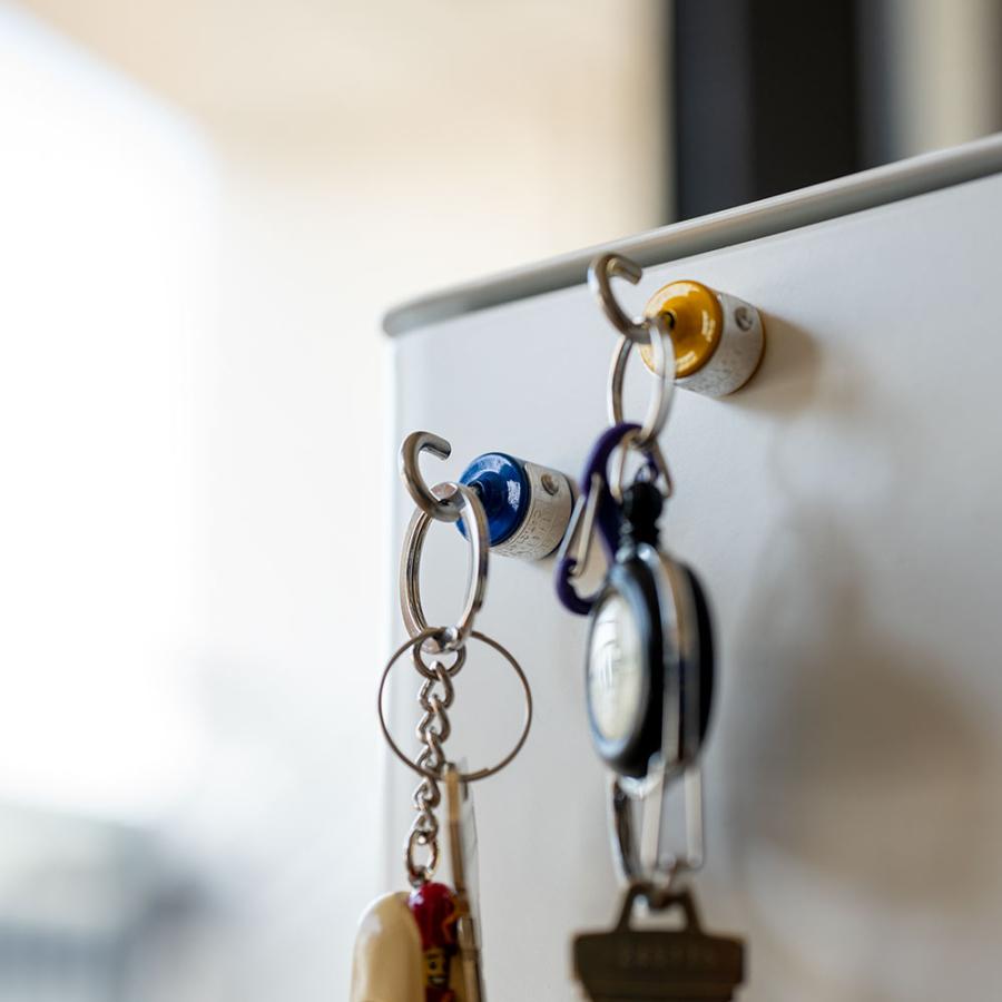DULTON（ダルトン） MAGNETIC HOOK SET マグネット フック 磁石