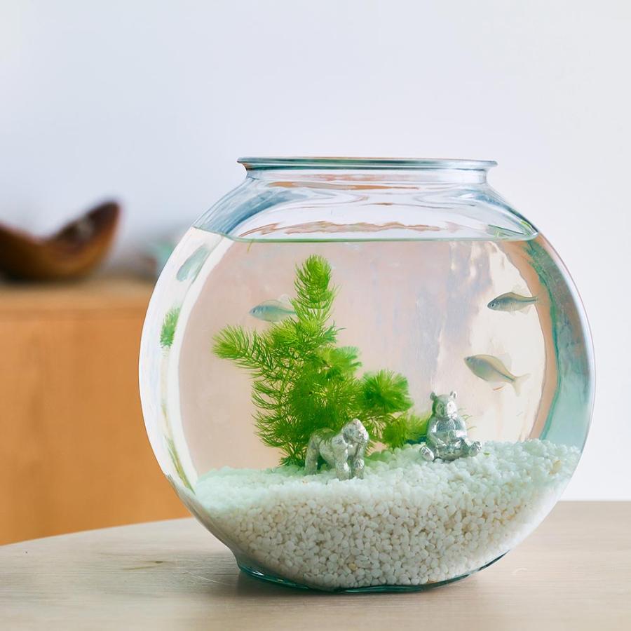 SUZU ZOO 錫100%の絶滅危惧種たち 浄化作用 抗菌 花瓶 Tindustry