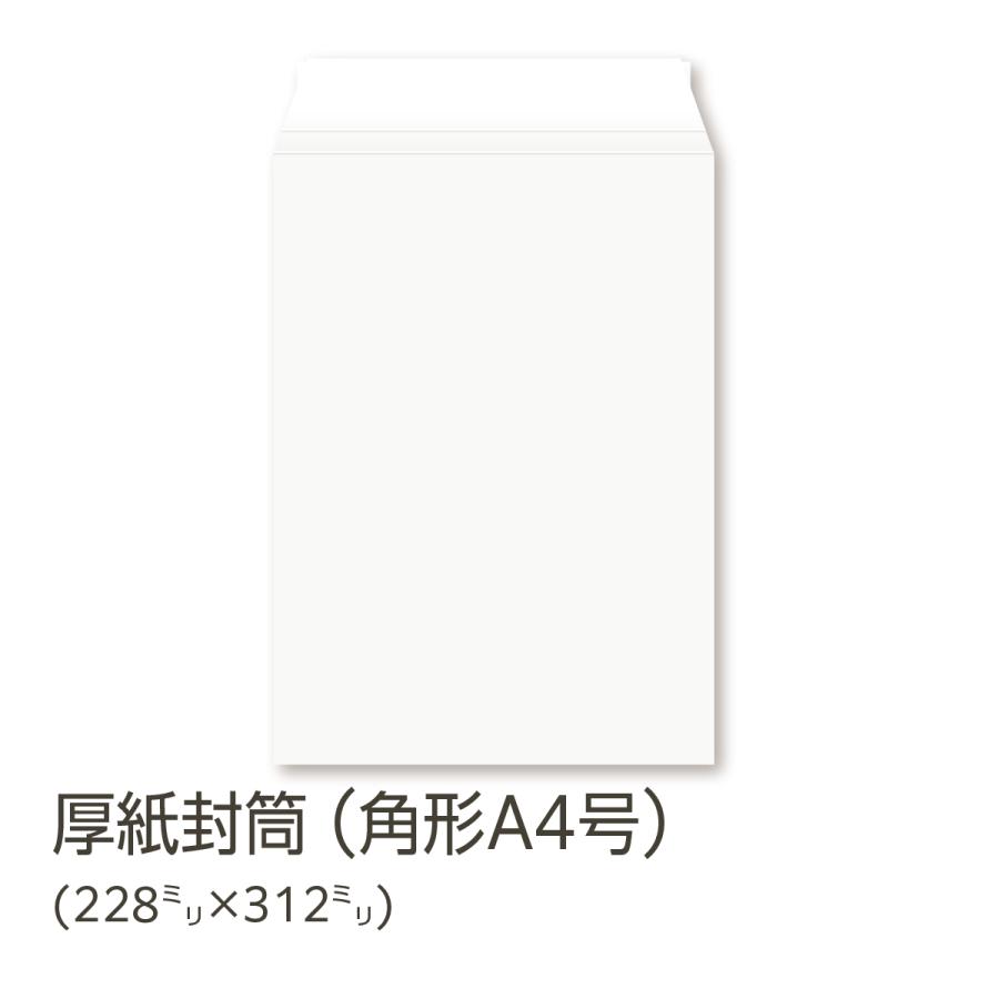 【4/30】su様【厚紙】❌ アドインデックス 赤 中 縦23×横30mm 120片入 | ササガワ