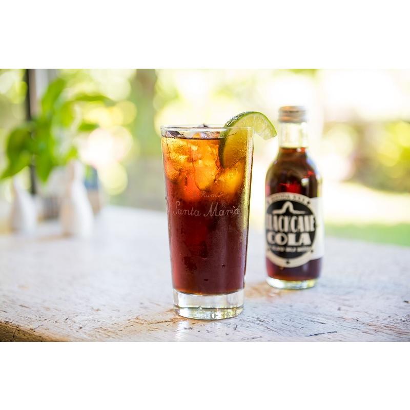 イエソーダ・黒糖コーラ　※１本〜１０本まで同梱可能・ほかの商品が同梱の場合、送料加算となる場合がございます。 |  | 03