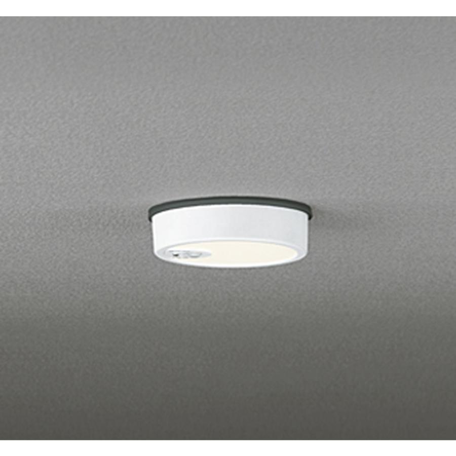 ODELIC（オーデリック） オーデリック[OG254534R]エクステリア : 家