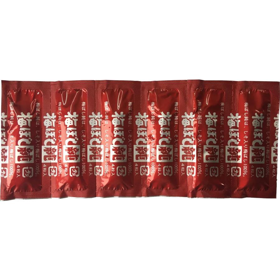 梅ぼし 純 24粒入 ×2個セット 梅干し 100% フリーズドライ タブレット | ブランド登録なし | 01