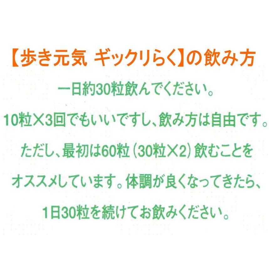 送料無料日本正規品 銀座まるかん 歩き元気 ギックリ楽らく ひざ 腰 痛み コンドロイチン グルコサミン ヒアルロン酸 銀座まるかん商品 まるかん商品 まるかん 斎藤一人 ひとりさん